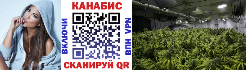Купить закладки  Голицыно  Бошки Шишки Bruce Banner 